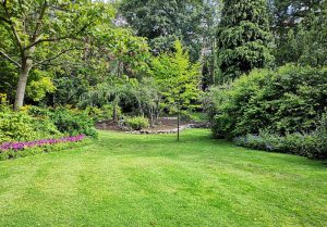 Optimiser l'expérience du jardin à Quetigny